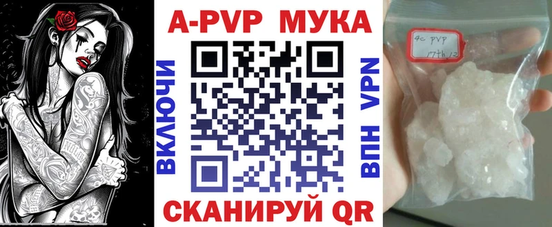 A PVP СК Камешково