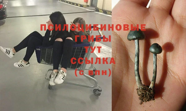 молекула духа Алексин