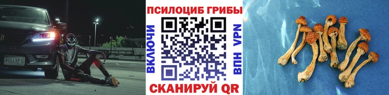 наркошоп  Камешково  Галлюциногенные грибы Cubensis 